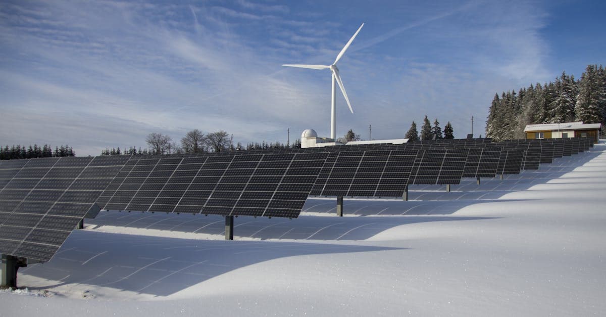 Cover Image for Harnessing the Sun: Revolutionizing Energy with Solar Panels